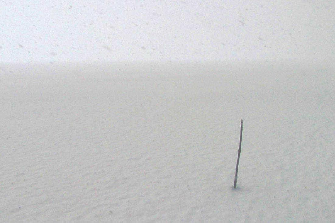 Solitude